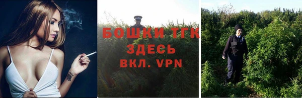 мдпв Новозыбков