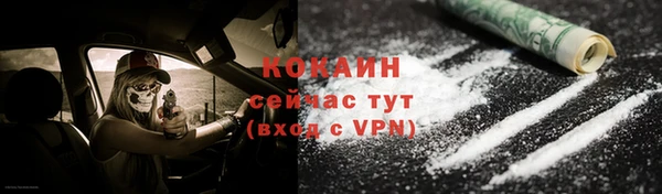 мдпв Новозыбков