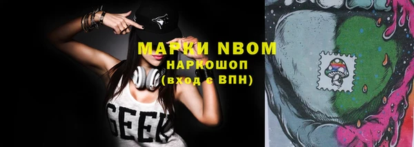 мдпв Новозыбков