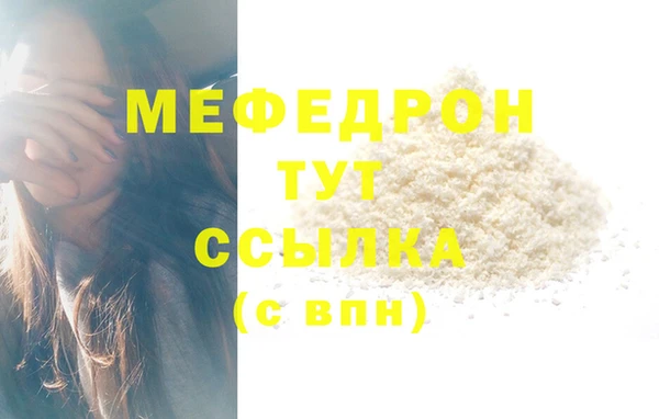 мдпв Новозыбков