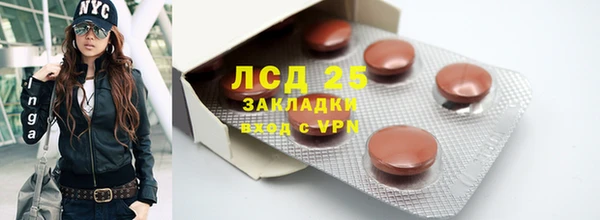 трава Няндома