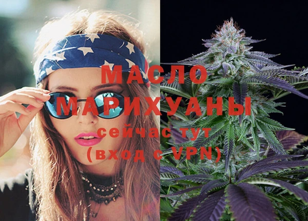 мдпв Новозыбков