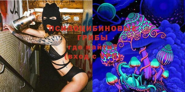 мдпв Новозыбков
