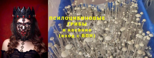 прущие крисы Новодвинск