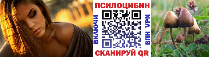 Галлюциногенные грибы MAGIC MUSHROOMS Межгорье
