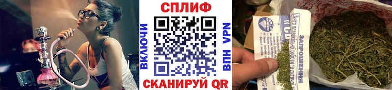 МАРИХУАНА конопля Межгорье